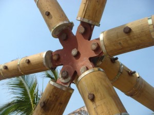 Geodesic bamboo hub