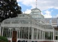 Greenhouse in pictures