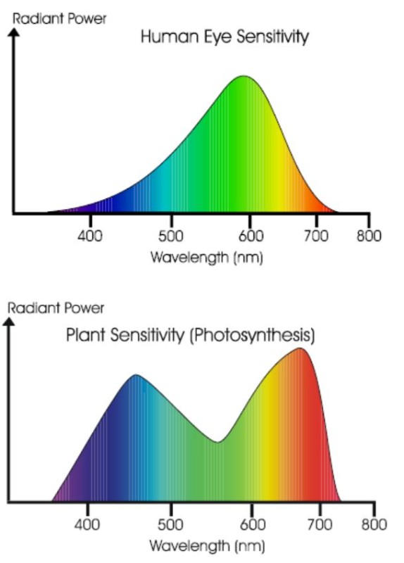 lighting_control_greenhouse_2