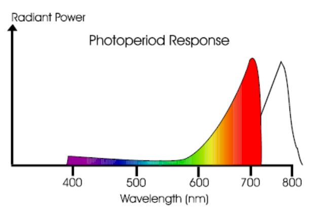 lighting_control_greenhouse_3