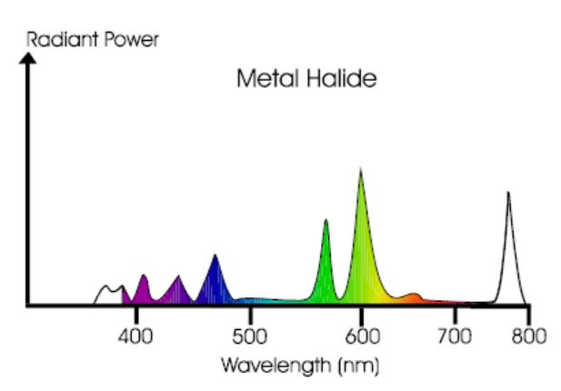 lighting_control_greenhouse_7